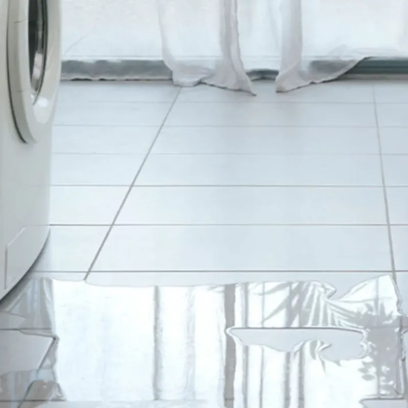 Appliance Leak Cleanup in Mason County, WA
