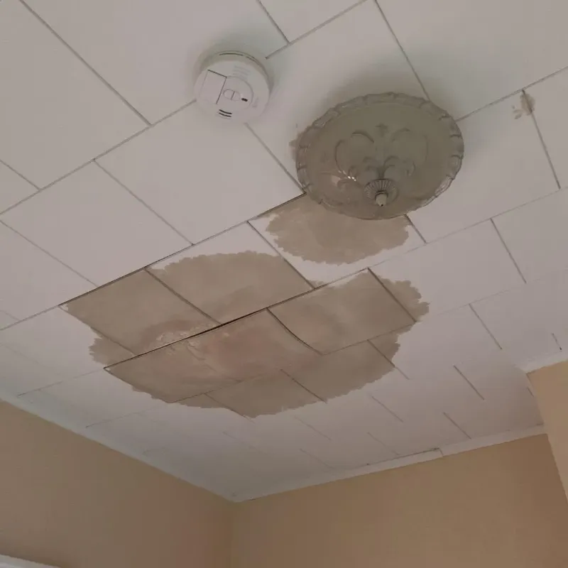 Ceiling Water Damage Repair in Mason County, WA