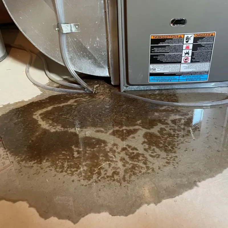 Pipe Burst and Leak Restoration in Mason County, WA